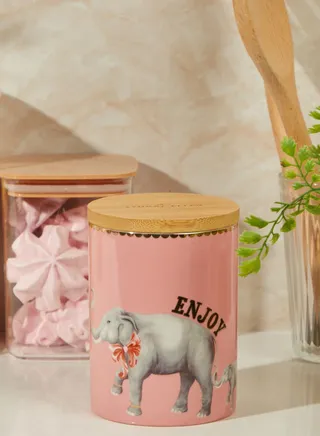 Medium Elephant Design Storage Jar