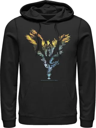 Men's Harry Potter Dragon Flame Silhouette Pull Over Hoodie - Black - Small