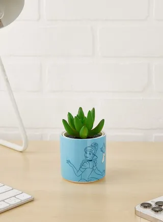 Cinderella Plant Pot Faux