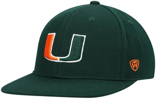 Men's Green Miami Hurricanes Team Color Fitted Hat