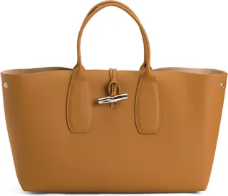 Leather Roseau Top Handle Satchel