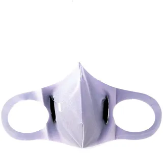 Model 2.2 face mask