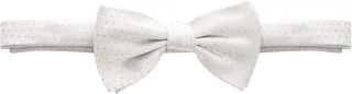 Silk papillon