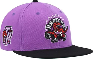 Men's Mitchell & Ness Purple and Black Toronto Raptors Hardwood Classics Snapback Hat
