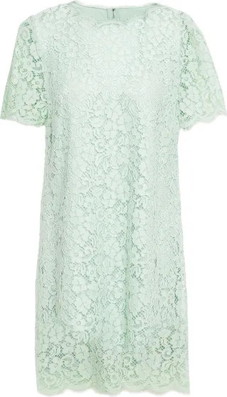 Cotton-blend corded lace mini dress