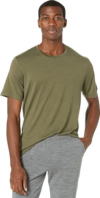 Icebreaker Tech Lite II Short Sleeve Tee (Loden) Men's Clothing
