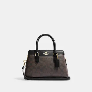 Mini Darcie Carryall In Signature Canvas