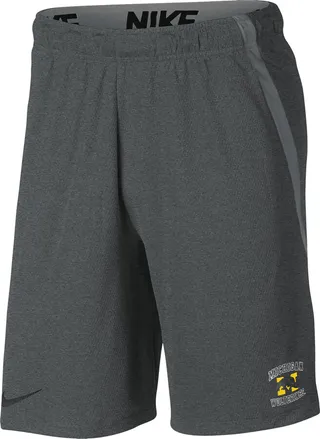 Michigan Nike Men's College Shorts in Grey
