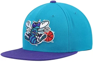 Men's Mitchell & Ness Teal and Purple Charlotte Hornets Hardwood Classics Team Two-Tone 2.0 Snapback Hat