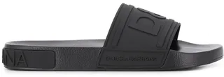 DG Logo slides