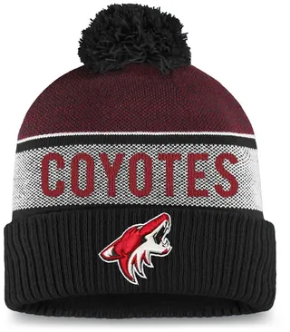 Men's Fanatics Branded Garnet Arizona Coyotes Team Pride Cuffed Knit Hat With Pom