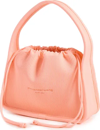 Alexander Wang Ryan Small Bag