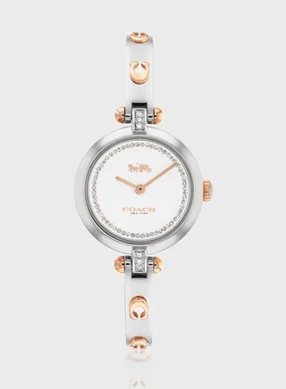 Cary Steel Strap Analog Watch