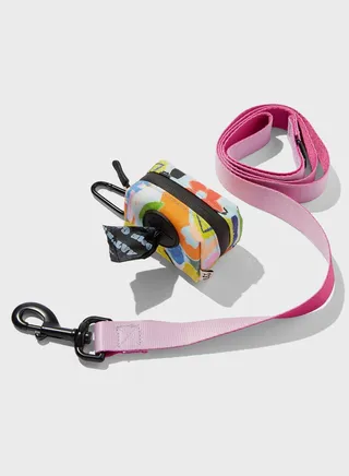 Pup & Parent Walkies Set