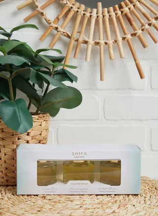 3 Pack Hummingbird, Cafe Oud & White Diffuser