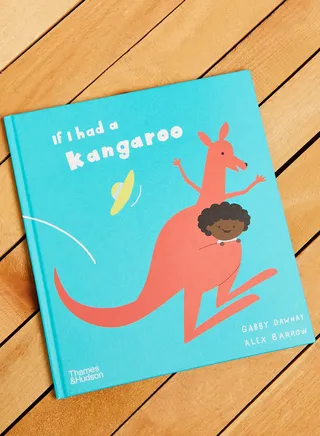 If I Had A Kangaroo