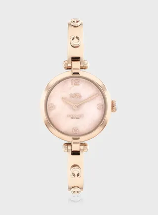 Cary Steel Strap Analog Watch