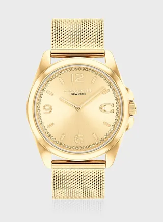 Greyson Mesh Strap Analog Watch
