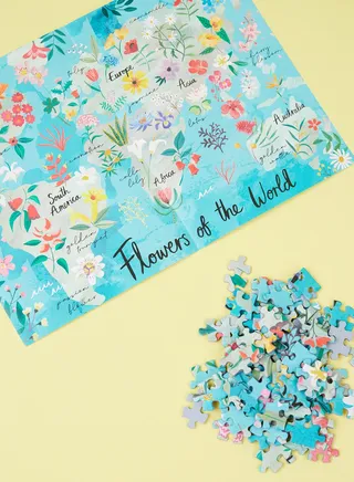 Pick Me Up Flowers Jigsaw Puzzle 500Pcs
