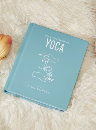 The Little Book Of Yoga