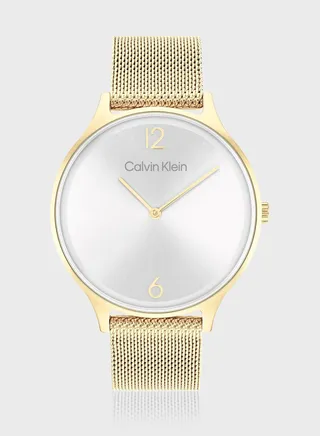 Timeless Mesh Analog Watch