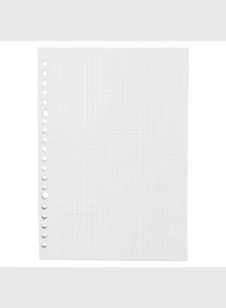 5 mm Grid Graph Ruled Line Loose-Leaf, 20 Holes, 100 Sheets, A5, White