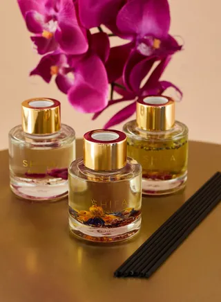 3 Pack Rose, Pilgrim & Summer Dream Mini Diffuser