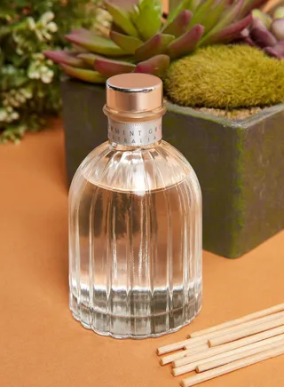 Red Plum & Rose - Mini Diffuser 100ml