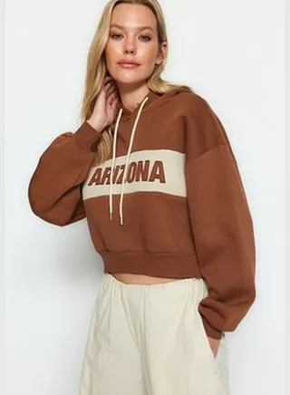 Brown Embroidery Detail Thick Fleece Inside Comfort Fit Crop Hooded Knitted Sweatshirt TWOAW24SW00181.