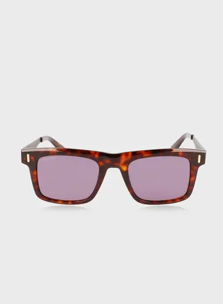 Wayfarers Sunglasses
