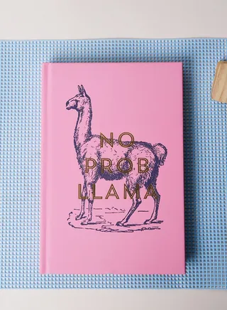 Vintage Sass - No Prob Llama