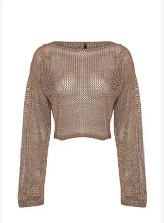 Mink Knitwear Sweater TWOSS24KZ00025