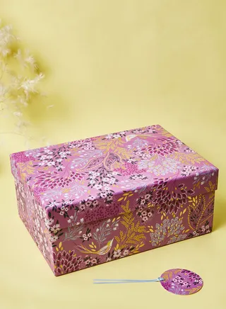 Songbird Large Box