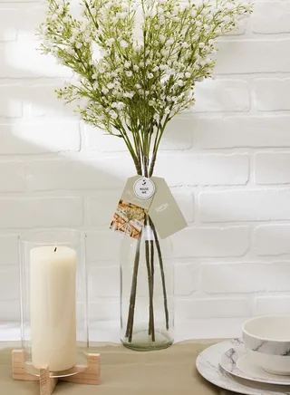 Gypsophilia Stems - 5Pk