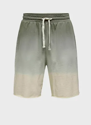 Ombre Print Shorts