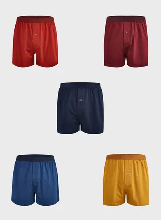 5 Pack Assorted Boxers
