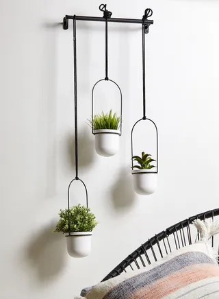 Triflora Hanging Planter