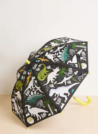 Dinosaur Colour Changing Umbrella