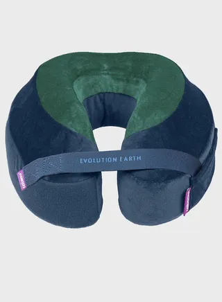 Evolution Earth Pillow