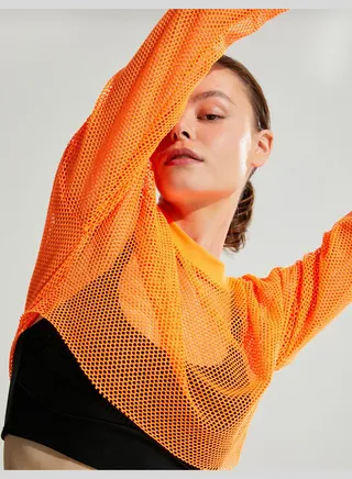 Long Sleeve Crop Mesh T-Shirt