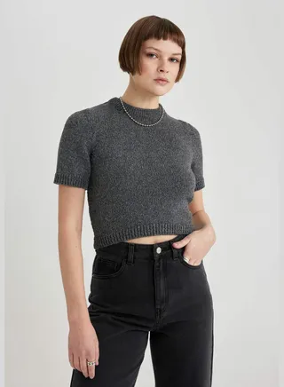 Woman Crew Neck Short Sleeve Tricot Pullover