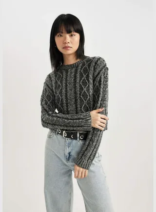 Woman Crew Neck Long Sleeve Tricot Pullover