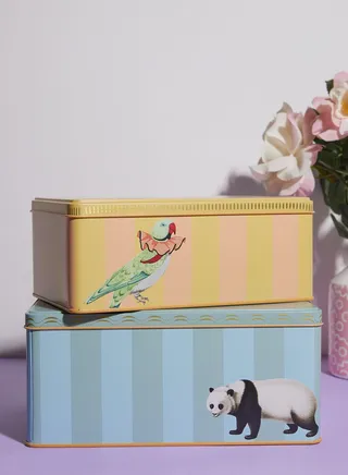 Yvonne Ellen Set Of 2 Rectangular Tins