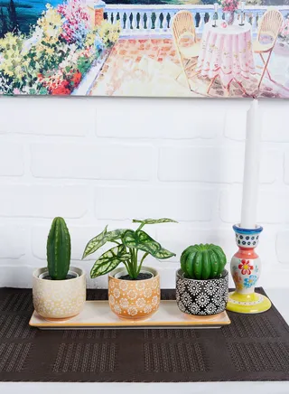 Set Of 3 Global Craft Mini Planters