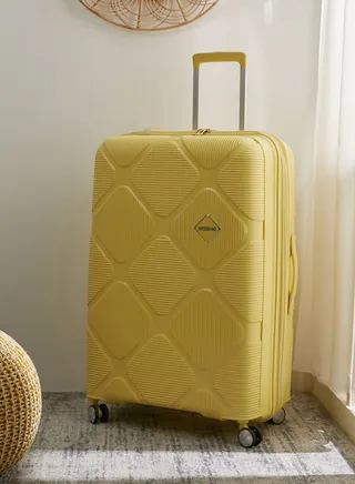 Large Suitcase Trolly