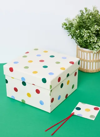 Polka Large Box