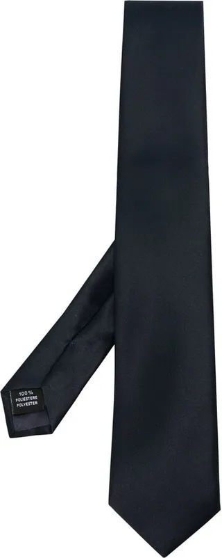 Satin-Finish Pointed Tie