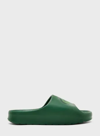Logo Slides