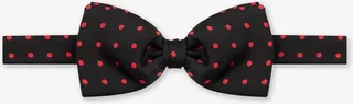 Silk Bow tie 'Poppin'