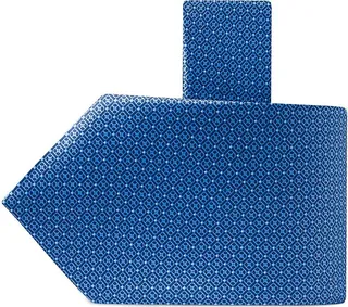 Luxury Printed Silk Tie
